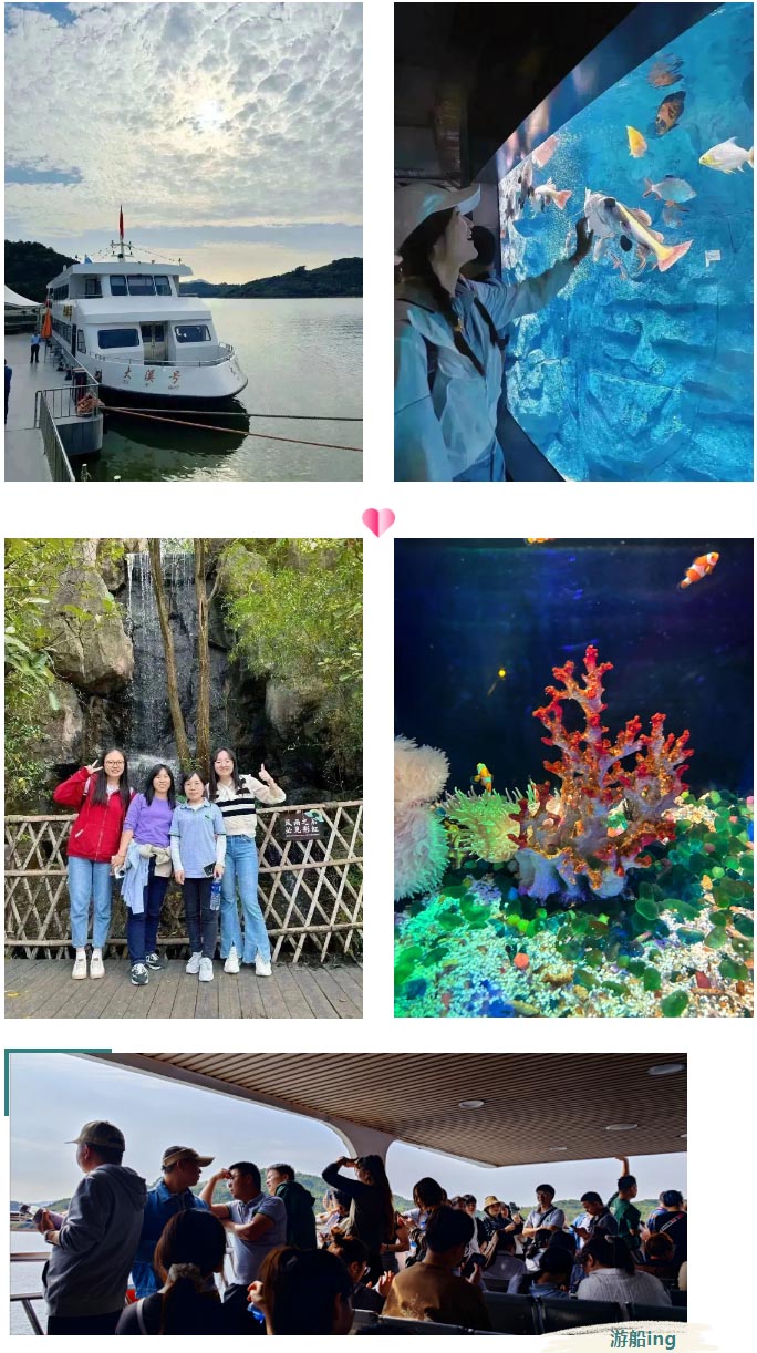 1698817196868436.jpg 03-min.jpg